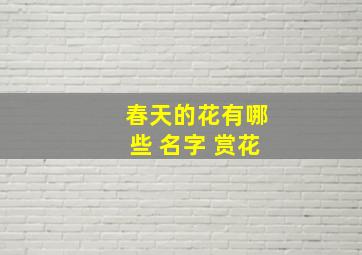 春天的花有哪些 名字 赏花